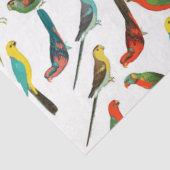 Gedroogd van wolkleurige tropische waterverven tissuepapier (Detail)