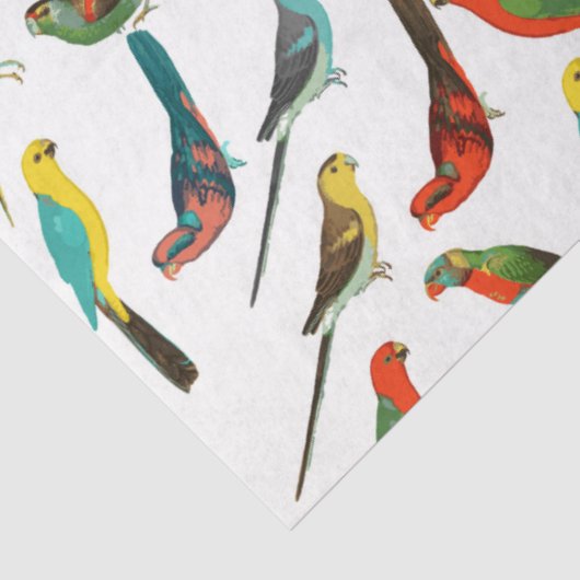 Gedroogd van wolkleurige tropische waterverven tissuepapier (Detail)