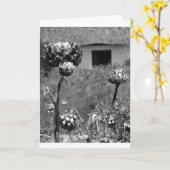 Gedroogde Artichoke Flower Kaart (Gele Bloem)