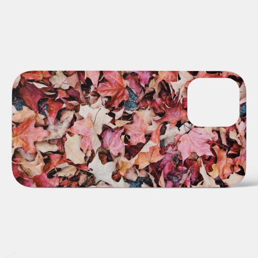 Gedroogde bladeren Case-Mate iPhone case (Achterkant (horizontaal))