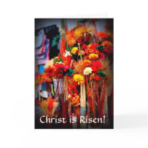 Gedroogde bloemen - levendige marktplaatfoto's