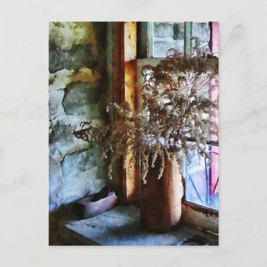 Gedroogde bloemen op Windows Briefkaart (Voorkant)