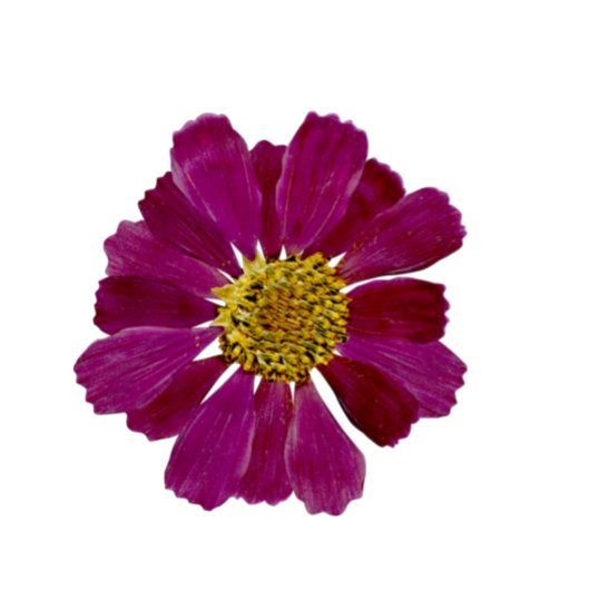 Gedroogde bloemen Waterverf Bridal Shower Invitati Kaart