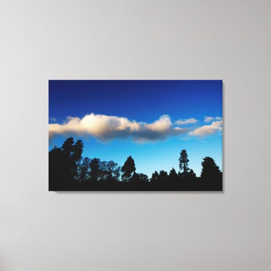 Gedroogde bomen bij schemering canvas afdruk (Voorkant)