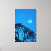 Gedroogde bomen en volle maan canvas afdruk (Voorkant)