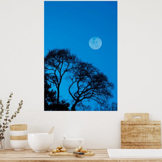Gedroogde bomen en volle maan poster (Keuken)