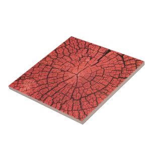 Gedroogde Boomstam Doorsnede Roze Rood Hout Foto Tegeltje