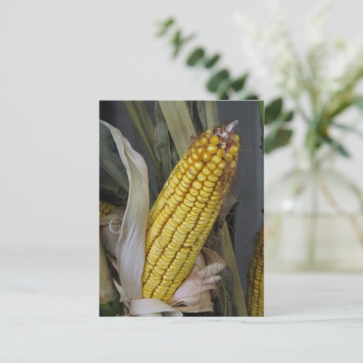 Gedroogde corn Stalk Briefkaart (Staand voorkant)