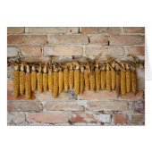 Gedroogde corncobs (Voorkant Horizontaal)