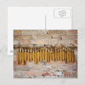 Gedroogde corncobs briefkaart (Voorkant / Achterkant)