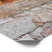 Gedroogde corncobs poster (Hoek)