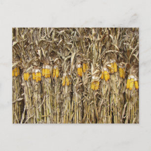 Gedroogde cornflak-decorpties briefkaart