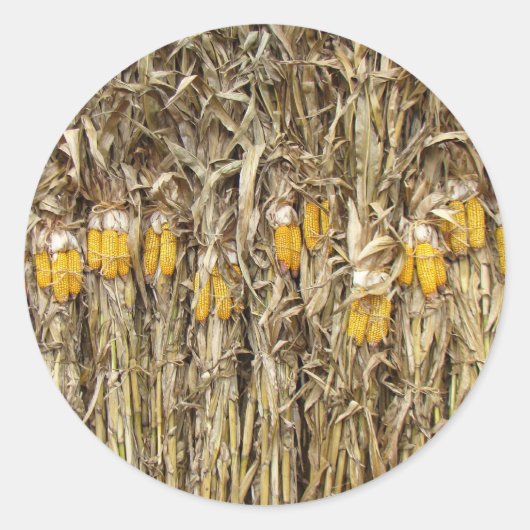 Gedroogde cornflak-decorpties ronde sticker (Voorkant)