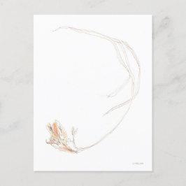 Gedroogde freesia 1 briefkaart
