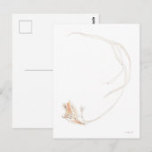 Gedroogde freesia 1 briefkaart (Voorkant / Achterkant)