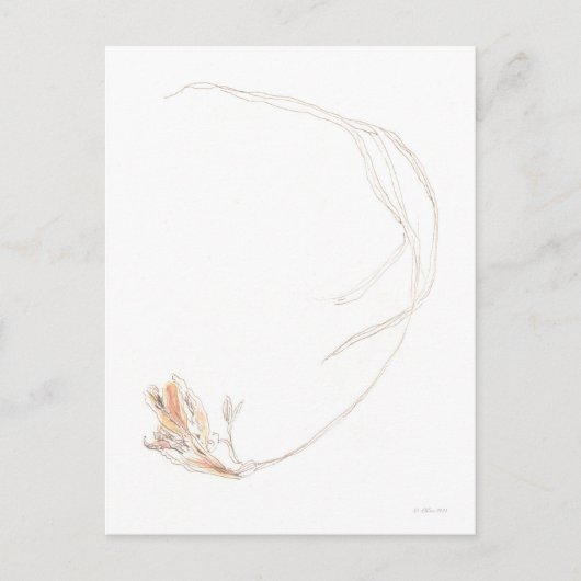 Gedroogde freesia 1 briefkaart (Voorkant)
