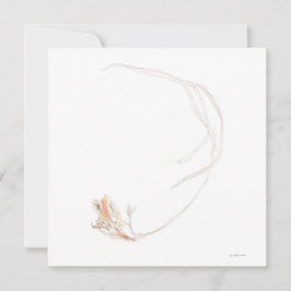 Gedroogde freesia 1 Platte Kaart