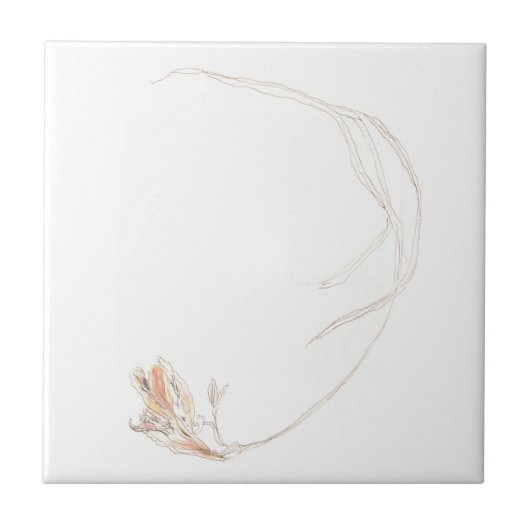 Gedroogde freesia 1 tegeltje (Voorkant)