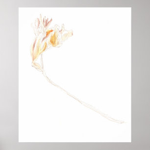 Gedroogde Freesia No. 3 Poster