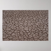 Gedroogde grond poster (Voorkant)