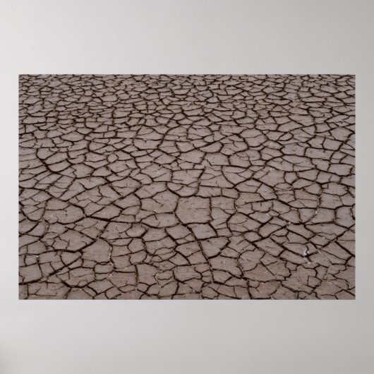 Gedroogde grond poster (Voorkant)