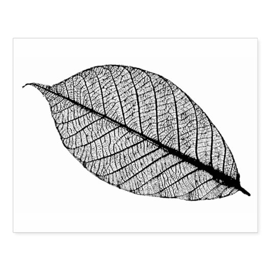 Gedroogde herfst Leaf Rubberstempel (Afrduk)