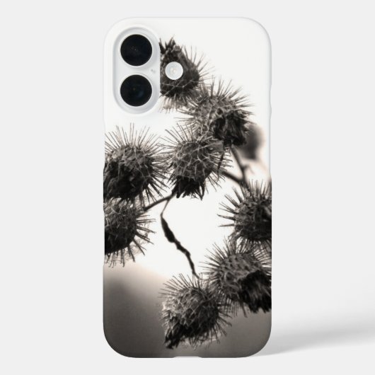 Gedroogde klis Case-Mate iPhone case (Achterkant)