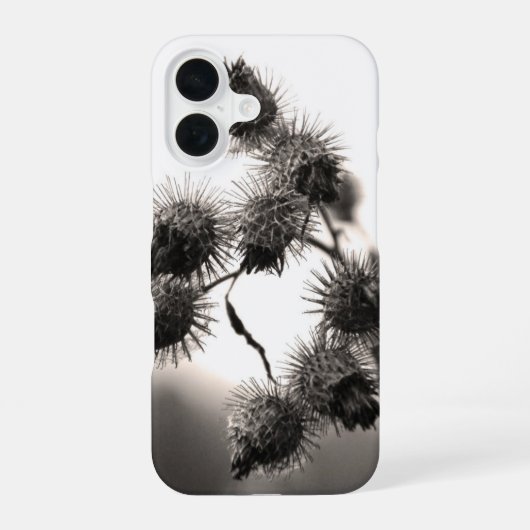 Gedroogde klis iPhone 16 hoesje (Achterkant)