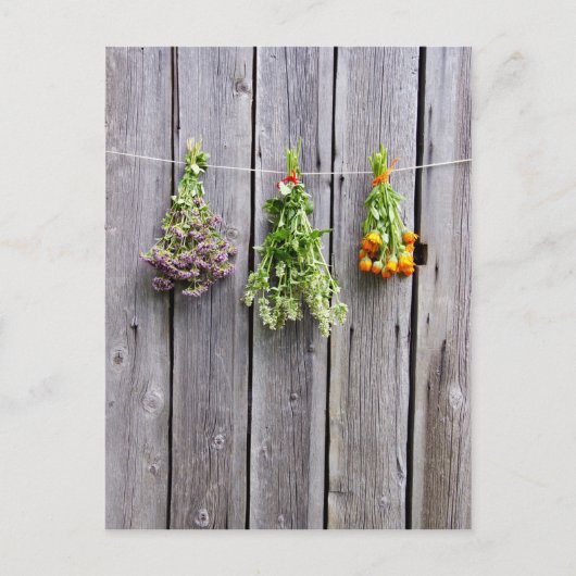 gedroogde kruiden houten grijze wand briefkaart (Voorkant)