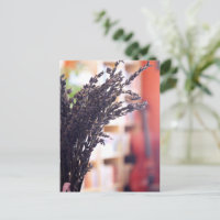 Gedroogde lavendel, Cello & Boekkassen op achtergr