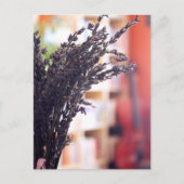 Gedroogde lavendel, Cello & Boekkassen op achtergr Briefkaart (Voorkant)