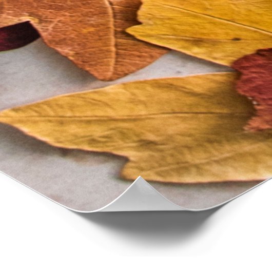 GEDROOGDE LEIDINGEN OP WITTE CONCRETE STROOM POSTER (Hoek)