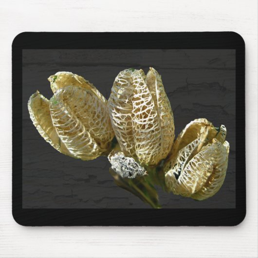 Gedroogde Lily Seed Pods Muismat (Voorkant)