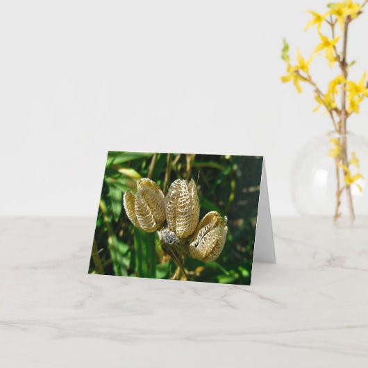 Gedroogde Lily Seed Pods Note Kaart (Gele Bloem)