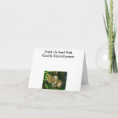 Gedroogde Lily Seed Pods Note Kaart (Achterkant)