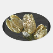 Gedroogde Lily Seed Pods Ovale Sticker (Voorkant)