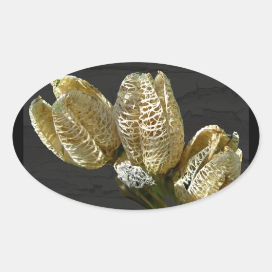 Gedroogde Lily Seed Pods Ovale Sticker (Voorkant)