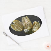 Gedroogde Lily Seed Pods Ovale Sticker (Envelop)