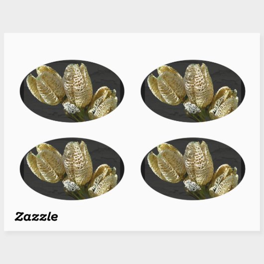 Gedroogde Lily Seed Pods Ovale Sticker (Vel)