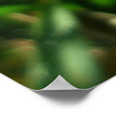 Gedroogde Lily Seed Pods Poster (Hoek)