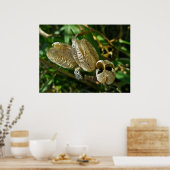 Gedroogde Lily Seed Pods Poster (Keuken)