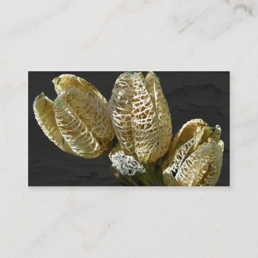 Gedroogde Lily Seed Pods Visitekaartje (Achterkant)
