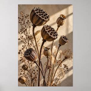 Gedroogde Lotuszaadpeulen in Gouden Licht Botanisc Poster