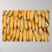 Gedroogde maïs die gestapeld was. poster (Voorkant)