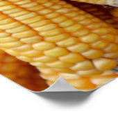 Gedroogde maïs die gestapeld was. poster (Hoek)