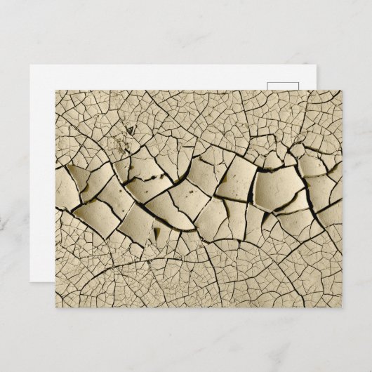 Gedroogde modder briefkaart (Voorkant / Achterkant)