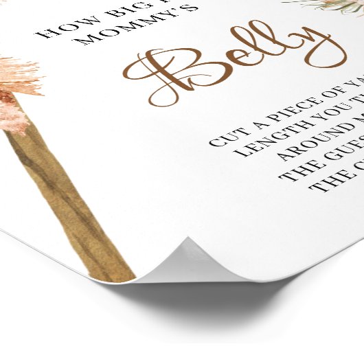 Gedroogde palm Pampas grass Hoe groot is de buik v Poster (Hoek)