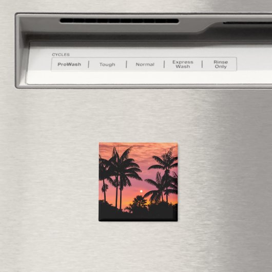 Gedroogde palmbomen, Hawaii Magneet (Insitu (Vaatwasser))