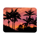 Gedroogde palmbomen, Hawaii Magneet (Horizontaal)