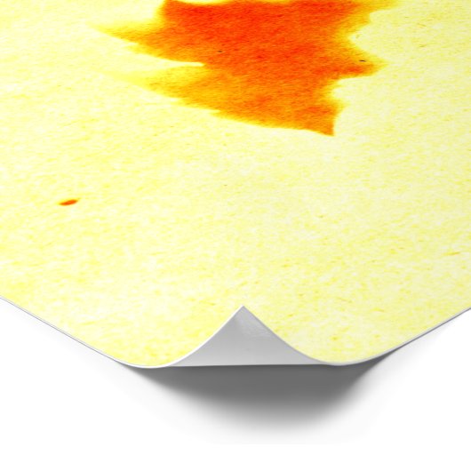 gedroogde papaver en zonneklaar Poster (Hoek)